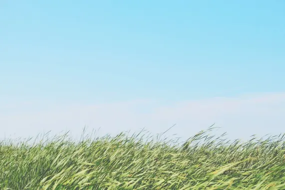 Kasino Ted Bingo Tuki